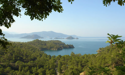 Maldivler mi, Tayland mı? Hayır! Muğla’da tropik bir koy: Turkuaz deniz, palmiye havası, sessiz huzur