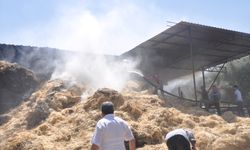 Ödemiş’te çiftlik yangını: 16 büyükbaş telef oldu