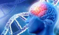 Parkinson tedavisinde yeni dönem: Derin Beyin Stimülasyonu nedir?