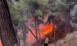 Son dakika...İzmir'in  Bornova ilçesinde korkutan yangın: Ekipler müdahale ediyor!