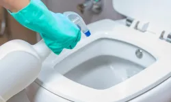 Banyonuz kanalizasyon mu kokuyor? Sebebi klozet değil: Herkesin gözden kaçırdığı o detaya dikkat