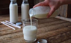 Faydaları saymakla bitmiyor! Her gün tüketmek bakın vücuda ne sağlıyor