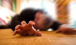 Epilepsi nöbetinde doğru bilinen yanlışlara dikkat!