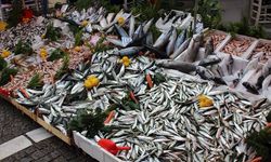 Balık tezgahları doldu! Hamsı bir günde 100 lira ucuzladı: Palamut ne kadar oldu?