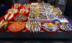 Haziranda balık tezgahlarında zirve değişti! En çok satılan balık artık hamsi değil