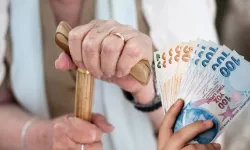 Emekliler ve 65 yaş üstü vatandaşlar hangi haklardan yararlanabiliyor? Devlet desteği arttı: Ücretsiz haklar ve maaşlar