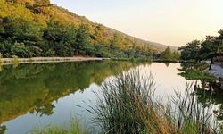 Hafta sonu farklı bir rota arayanların gözdesi: İzmir’deki dev yeşil vadi doğa, tarih ve ücretsiz kaçamak sunuyor!