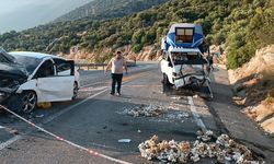 Otomobil ile kamyonet çarpıştı! 2 yaralı