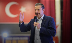 AK Partili Kaya'dan sivrisinek eleştirisi! "Sivrisinekler belediyeye teşekkür plaketi verirlerse şaşırmam"