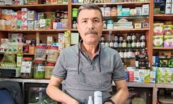 Aktarlardan yaz uyarısı: Bu yağlar haşereleri uzak tutuyor