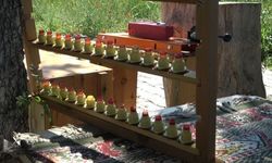 Flora yapısı arı sütünün içeriğini değiştiriyor! Arıcılara rehber olacak araştırma: Besleme yöntemi kaliteyi etkiliyor