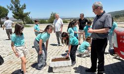 Bergama’da yemek atıklarından mama üretildi: Öğrenciler süreci yerinde gözlemledi