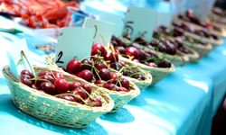 Bornova'da festival heyecanı! Kiraz Festivali için geri sayım başladı