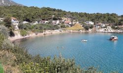 İzmir'de yüzme bilmeyenler ve çocuklu aileler için ideal deniz rotası: Zeytin ağaçlarıyla çevrili, denizi berrak ve sığ!