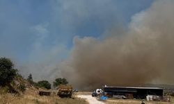 Çanakkale’de orman yangını kontrol altına alındı!