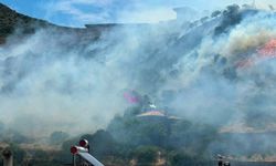 Çanakkale'de çıkan yangın kontrol altına alındı