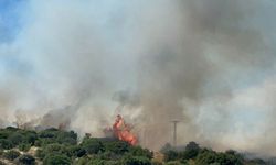 Çanakkale’deki orman yangını rüzgarın etkisiyle büyüdü: Müdahale devam ediyor