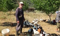Emekli oldu, köyde kendi çiftliğini kurdu! Üretimiyle dikkat çekiyor