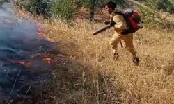 Söke'deki yangın kontrol altına alındı! 8 hektar orman zarar gördü