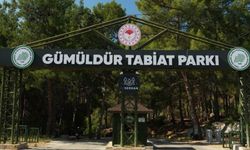 İzmir’in doğal cenneti 3 yıl sonra ziyarete açıldı! Karavan kampı başladı