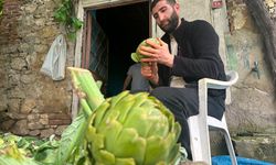 Günde bin enginar soyuyor, ayda 240 bin kazanıyor