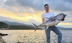 İzmir kıyısında şok görüntüler! Nadir görülen dev orkinos yakalandı: O anlar kamerada