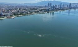 Bilim insanları İzmir Körfezi’nin geleceği için Foça'da buluşacak