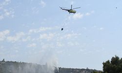 İzmir'de orman yangını alarmı: Havadan ve karadan müdahale edildi