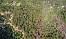 Kaş'ta korkutan yangın! Ekipler alevleri kontrol altına aldı