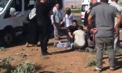Para nakil aracı ile minibüs çarpıştı! 15 yaralı