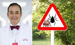 Yaz aylarında kene alarmı! Kene yapışırsa ilk bunu yapın! Uzmanından hayat kurtaran tavsiyeler