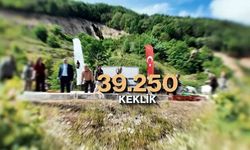 Kene ve kokarcaya karşı biyolojik savaş başlıyor