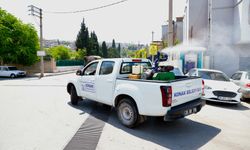 Konak’ta sivrisinek alarmı: 111 mahallede eş zamanlı müdahale
