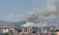 Nazilli’de zeytinlikte yangın çıktı