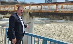 Başdaş: “Meles temizlenmeden körfez temizlenemez”