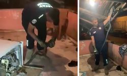 Sıradışı olay! Bulaşık makinesinin içinden dev yılan çıktı
