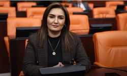 Şüpheli ölüm meclis gündeminde! Chp’li Kılıç’tan Irmak Ayşe Koparan için soru önergesi