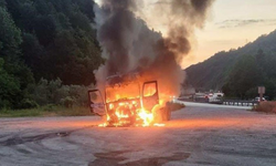 Seyir halindeki tır alev topuna döndü