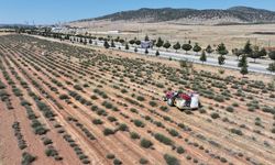 Çiftçiye büyük destek! 2027 tarım başvuruları başlıyor: Ürün listesi açıklandı