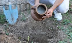 Toprağı kazınca altın değil, 6 aylık lezzet çıktı: "Yeni nesil bunun ne olduğunu bilmiyor"