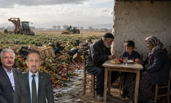 Üretim rekorları var: Gıda bol, mideler boş