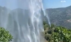 Yemek ısıtmak için ateş yaktı, incir bahçesi küle döndü