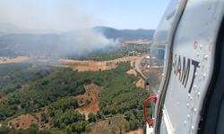 Muğla'da orman yangını: Müdahale sürüyor