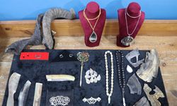 Yıllarca kurutulan boynuzlar sanat eserine dönüşüyor: Manda ve koç boynuzlarından dikkat çeken ürünler