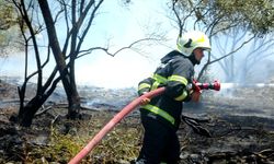 Manisa'da orman yangını çıktı: İzmir'den ekipler sevk edildi