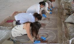 800 yıllık dev Roma villası gün yüzüne çıkıyor! 1800 yıllık mozaikler için zamanla yarış başladı