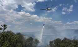 Kemalpaşa'da zeytinlik yangını! 3 hektarlık alan zarar gördü