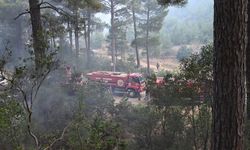 Antalya'da orman yangını alarmı! Havadan ve karadan müdahale sürüyor