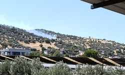 Aydın'da korkutan yangın!