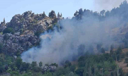 Antalya'da korkutan yangın!